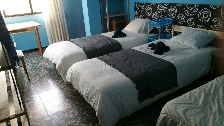 Dog friendly family flat Beach and mountain by car