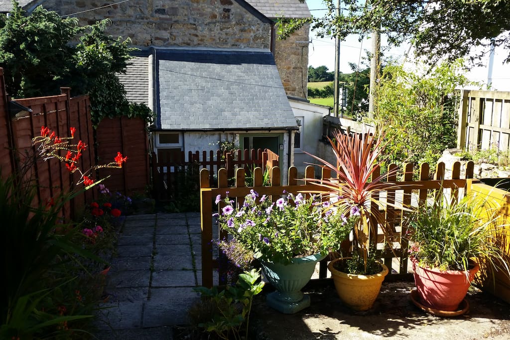 Back Garden