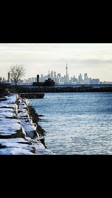 We're blessed with a beautiful Park right beside our building that runs along the shore of Lake Ontario. Lot's a nature and wildlife