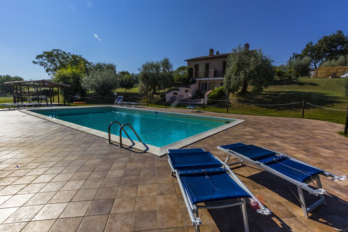 A spacious outdoor pool is framed by a tiled patio, featuring several lounge chairs nearby. Lush greenery surrounds the area, with olive trees visible in the background. The charming building in the distance adds to the inviting atmosphere of the landscape.