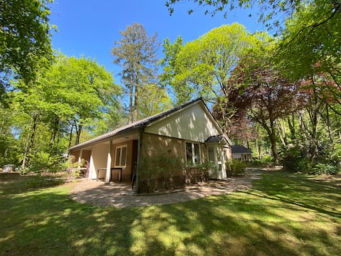 Popular Airbnb listing: Cozy bungalow (C19) in Garderen in Wijk 57 Garderen