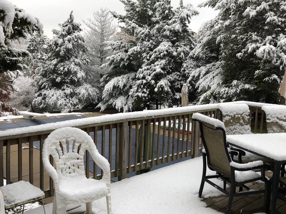 Winter Wonderland