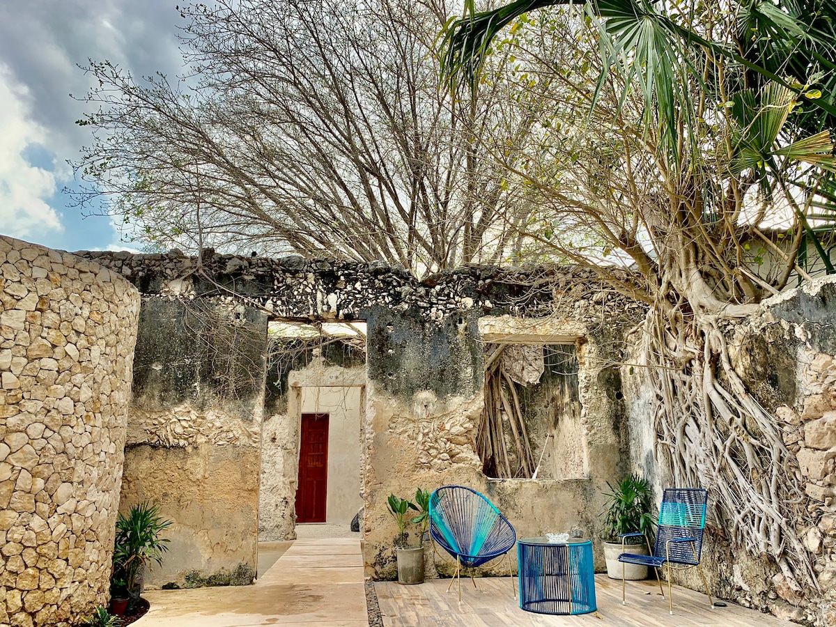 An outdoor space is highlighted by natural stone walls and a large, bare tree. Two blue chairs provide seating amidst a tranquil atmosphere, with potted plants positioned around the area. The entrance to the building is visible, framed by the weathered stone walls.