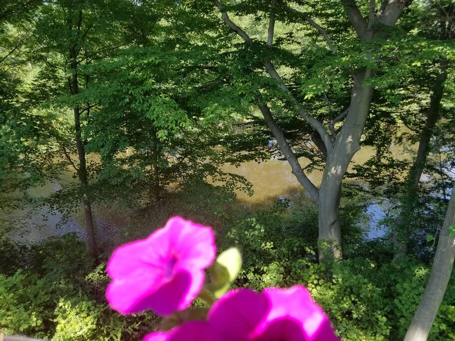 view of river from the deck