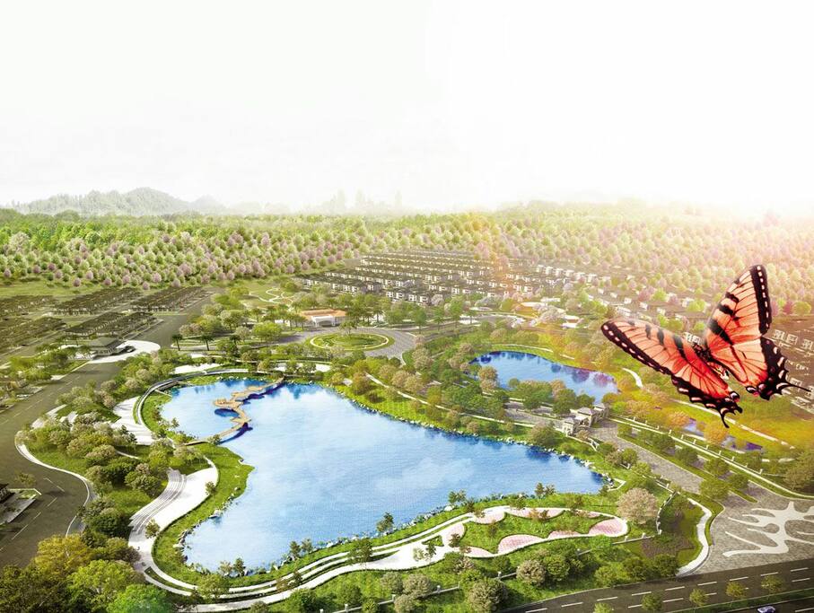 Signature Butterfly Lake