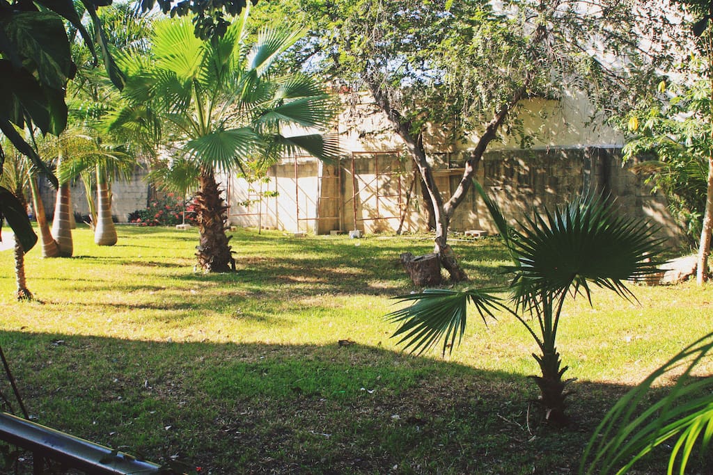Common areas / Jardín de área común