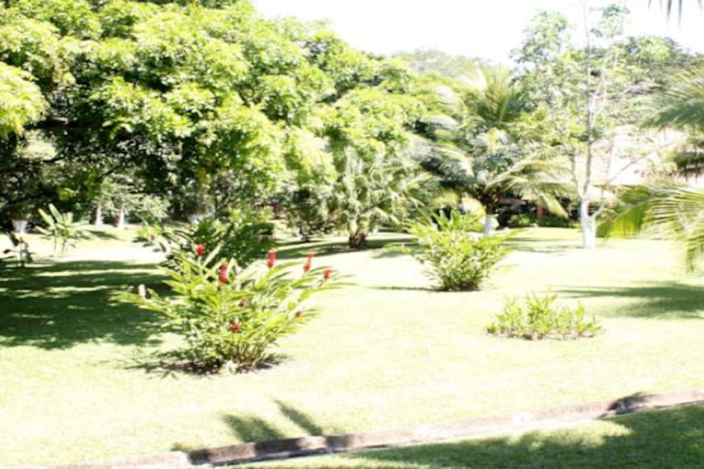 Extensos Jardines Tropicales