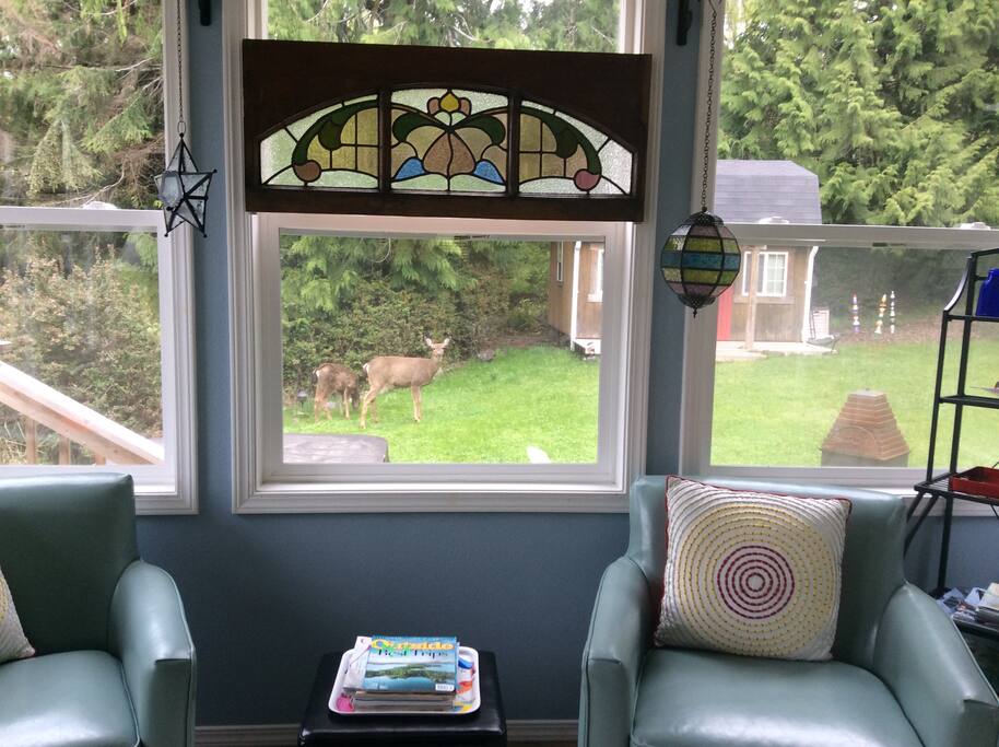 Mama and her baby stopped by to say Hi.