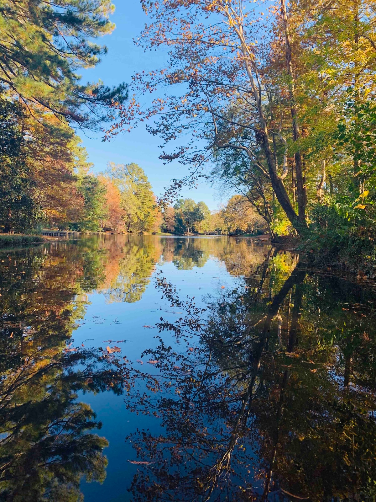 A serene lake scene displays smooth water reflecting the surrounding trees and autumn foliage. Bright blue skies contrast with vibrant colors from the changing leaves, creating a calming natural setting. The image captures the tranquility and beauty of the landscape.