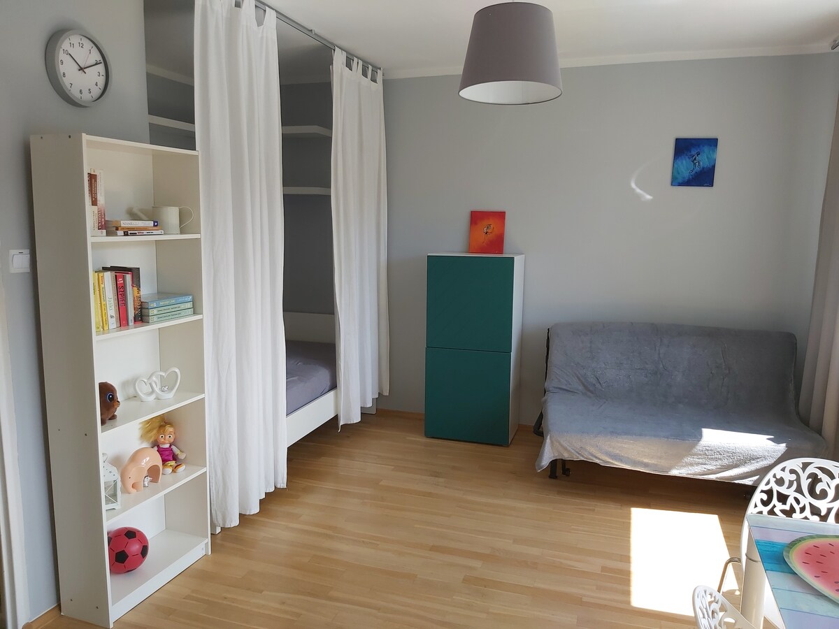 A light-filled living area features a fold-out sofa bed, a compact bookshelf filled with books and decor, and a stacked storage unit. A cozy sleeping nook is partially separated by white curtains. Warm wooden flooring complements the contemporary furnishings.