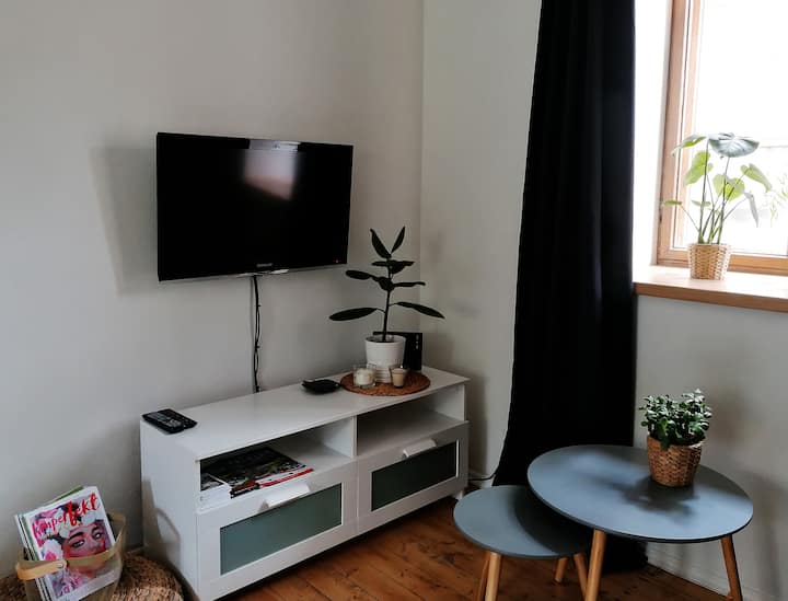Vintage Anna Apartment - Latvia