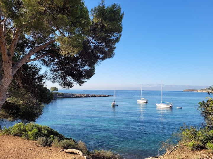 Palma Nova Holiday Rentals & Homes Balearic Islands, Spain Airbnb