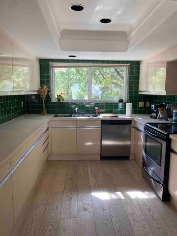 Quiet oasis near Barton Springs, Greenbelt, Zilker gallery image 5