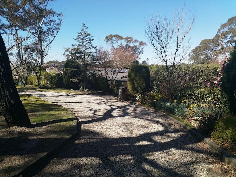 Circular pebble driveway