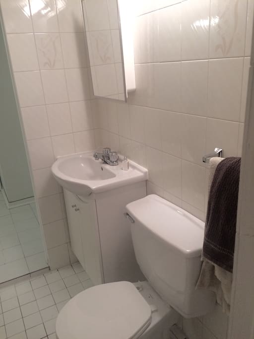 Your own bathroom with shower