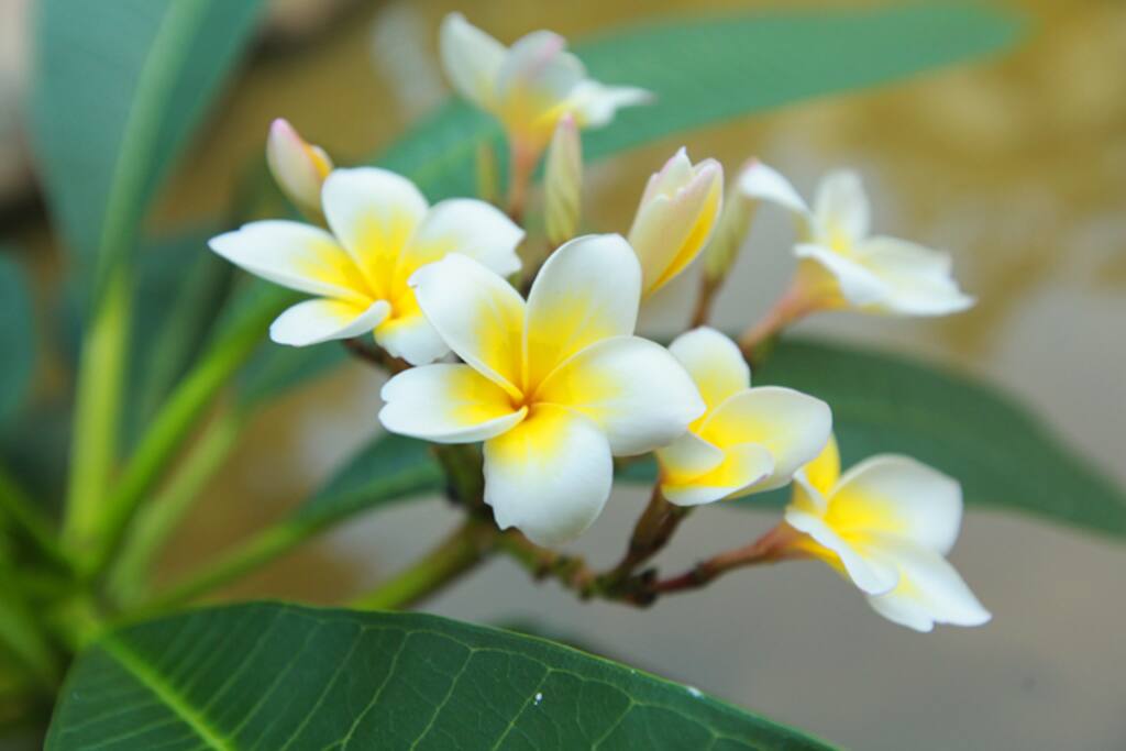 一花一草都让你感受温暖