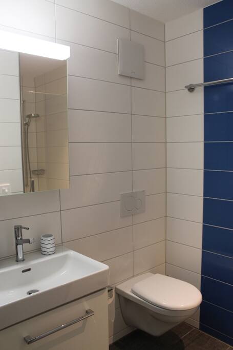 Guest bathroom, ground floor