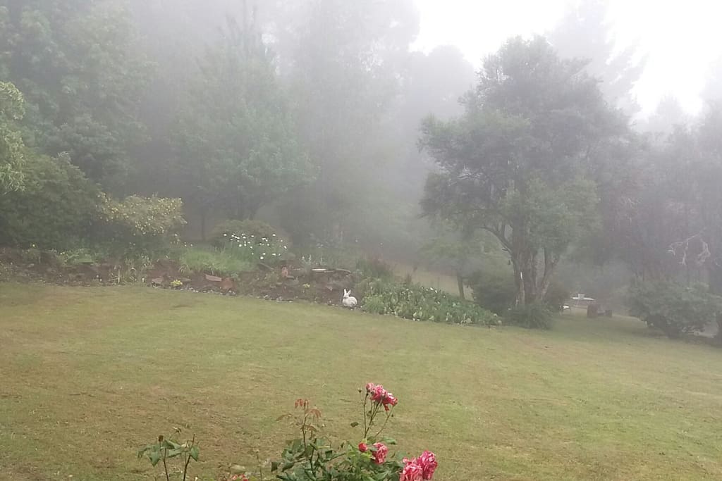 In the cloud
