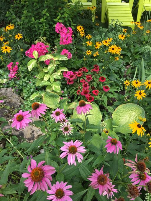 Beautiful garden to enjoy from the veranda.