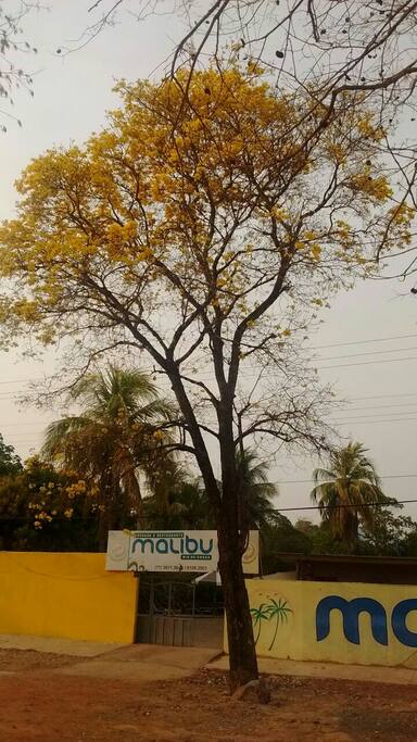 A entrada da Pousada Malibu