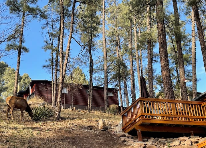 34 Amazing Airbnb Vacation Rentals In Ruidoso, New Mexico Updated