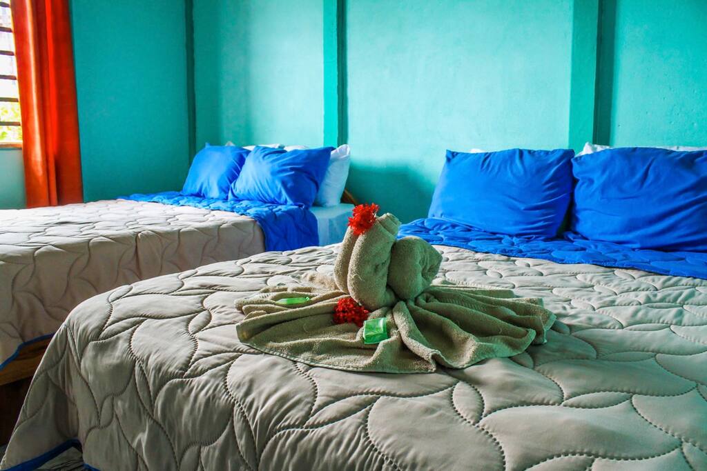 Four separate rooms with private bathroom /// Cuatro habitaciones separadas con baño privado.