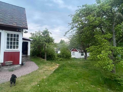 Healing paradise- sauna, guest houses, yoga barn