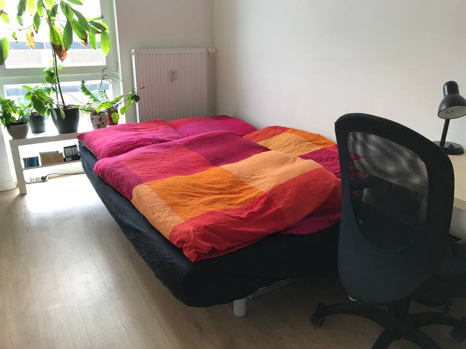 Schlafsofa zum Bett umgeklappt