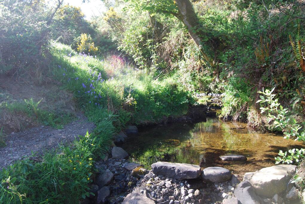 A cold dip for waking mind and body