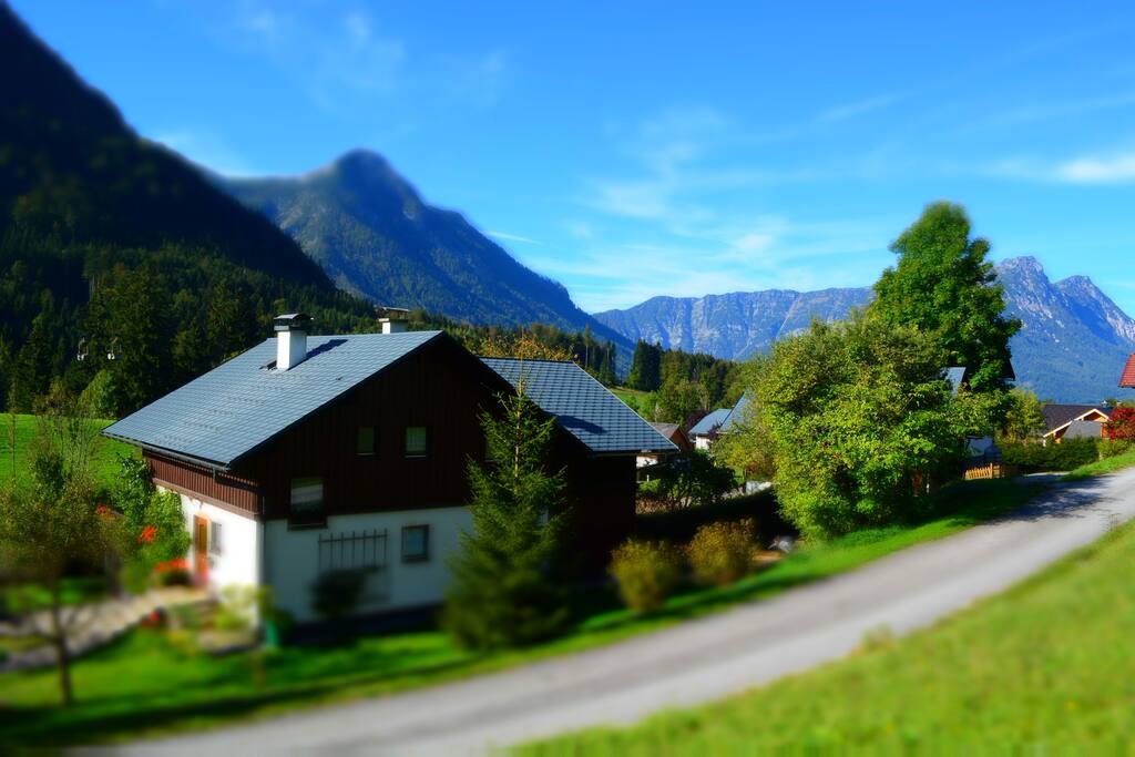 View from the back of the house