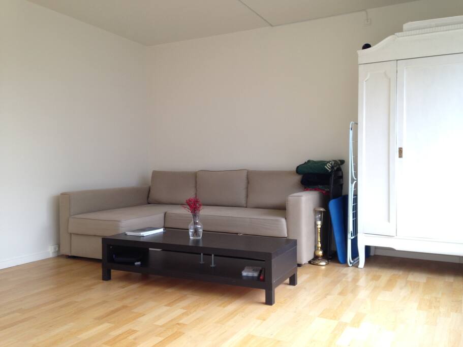 Spacious living-room