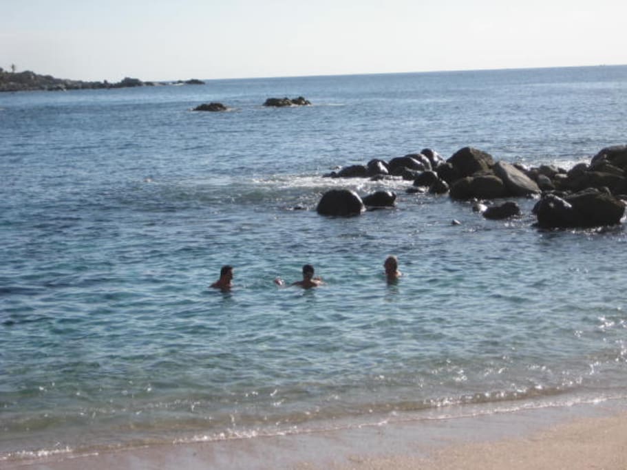 Our beach swimmers