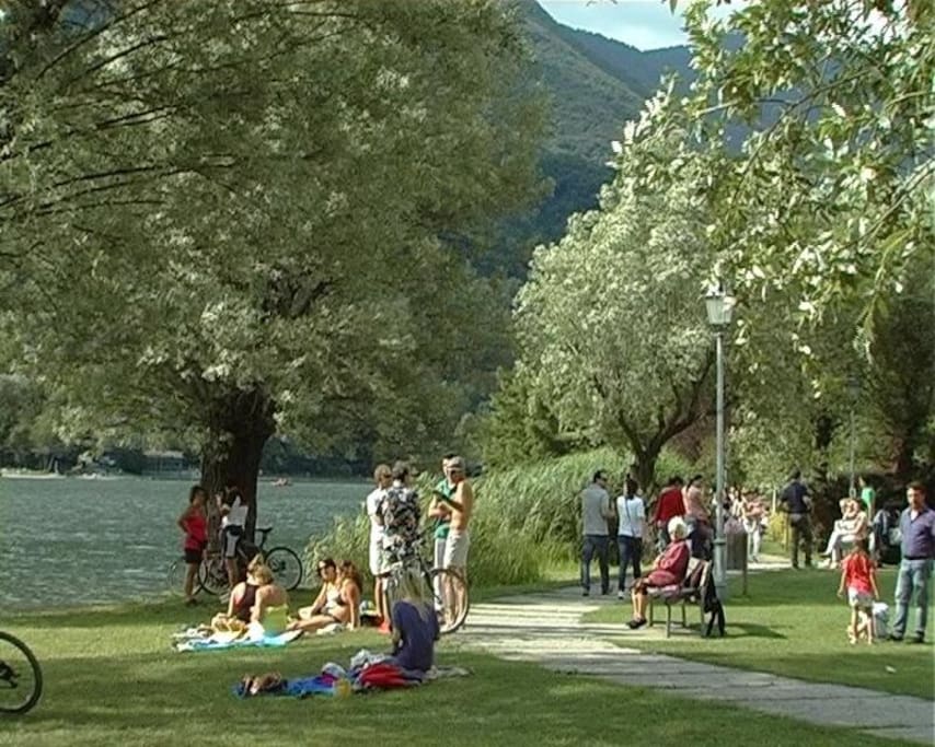 Aree pic-nic