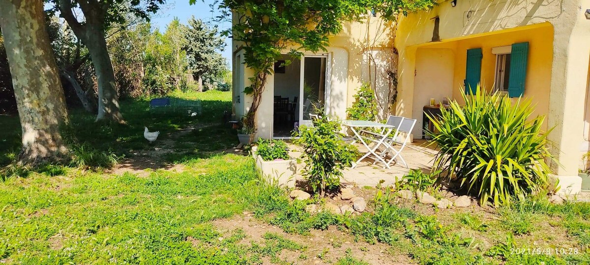 Entressen Holiday Rentals Homes Provence Alpes Cote D Azur France Airbnb
