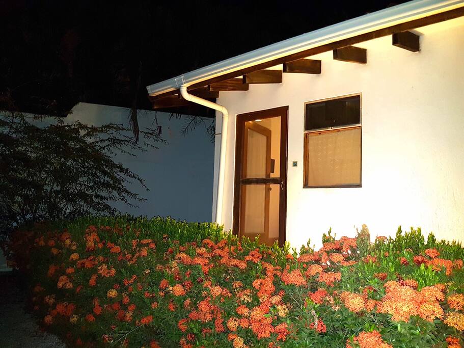 Studio at night