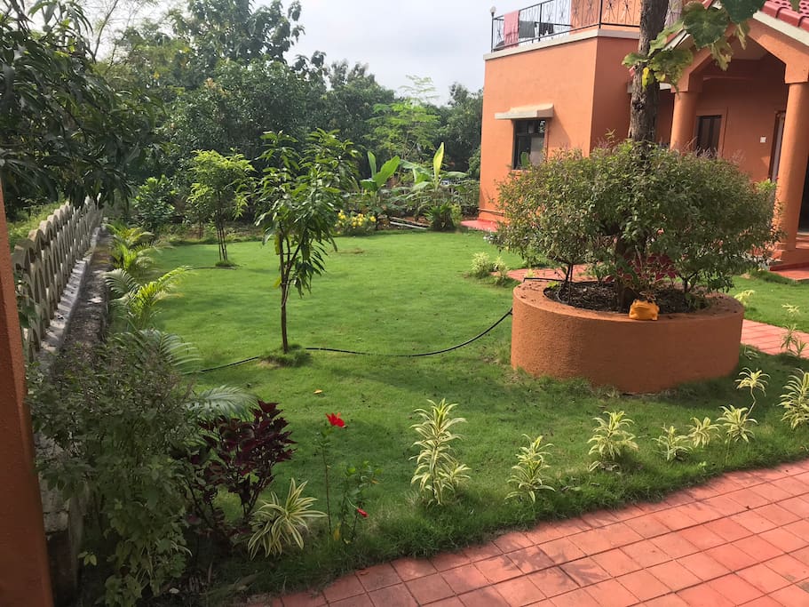Front side Lawn