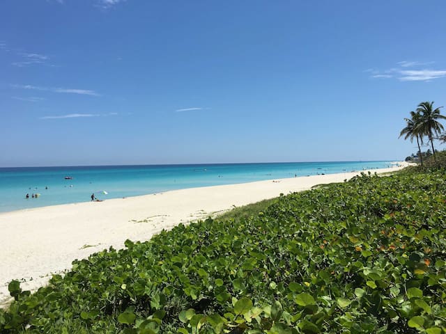 Margarita's beach house.