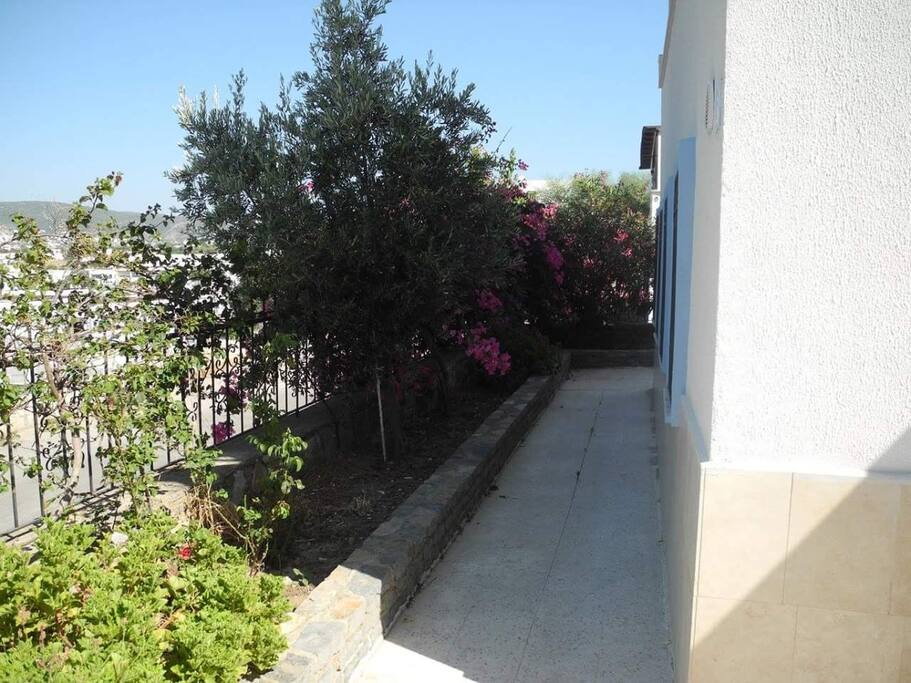 Bahçe - Garden