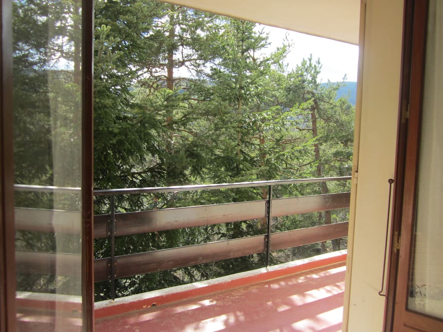 Terrasse dans les pins