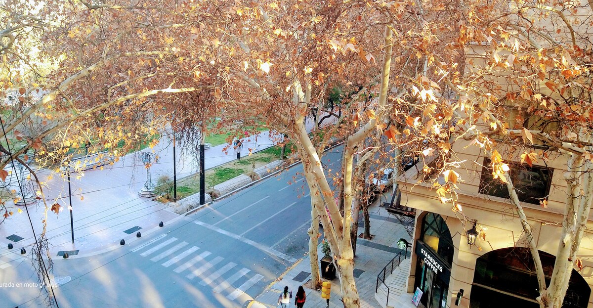 A view from above captures a tree with autumn leaves overlooking a quiet street. In the foreground, a Starbucks café is visible, while the paved road features a crosswalk. Nearby, sidewalks are lined with minimal foot traffic, emphasizing the peaceful surroundings.