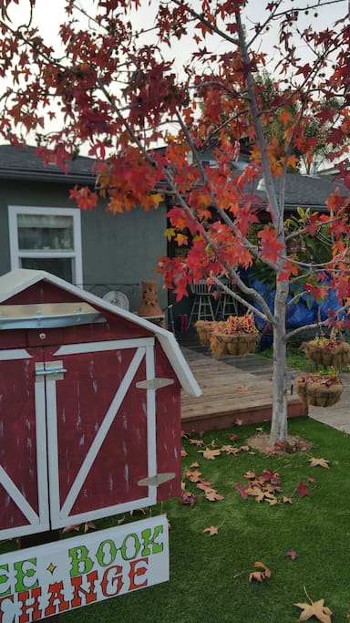 Colorful fall leaves provide shade and beauty while relaxing on the front deck.