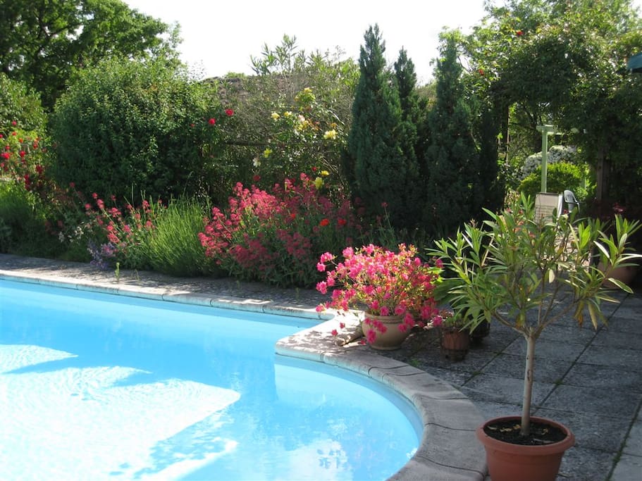 Pool Garden