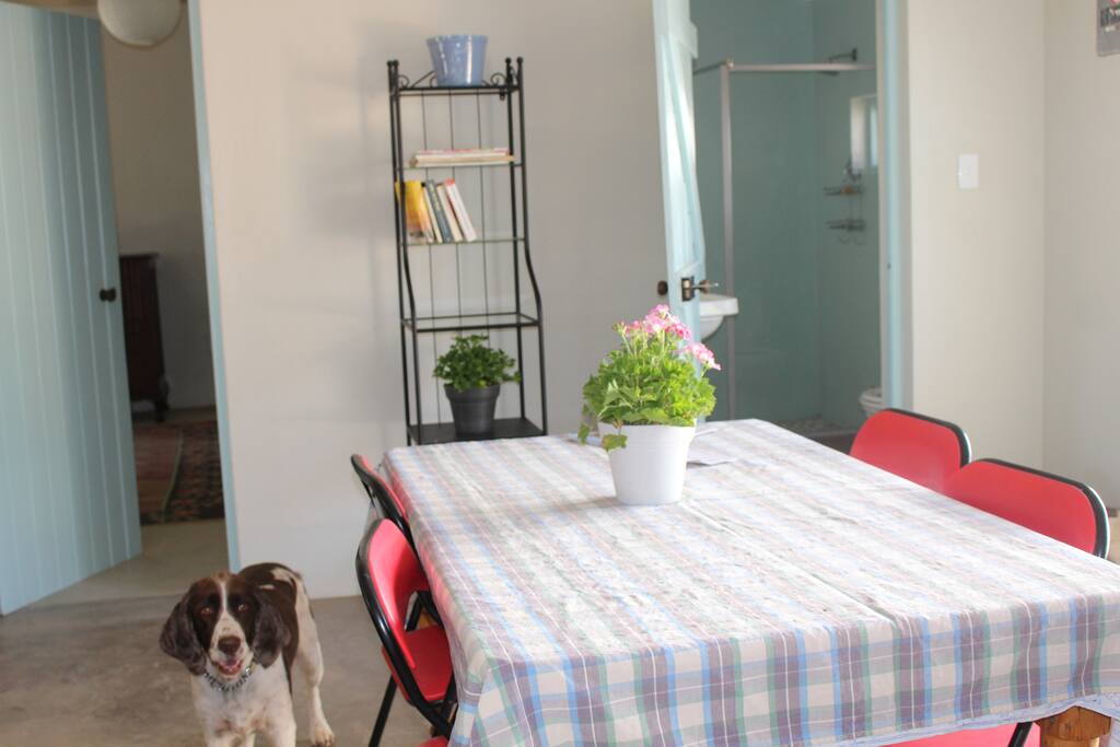Dining room table immediately adjacent to the kitchen