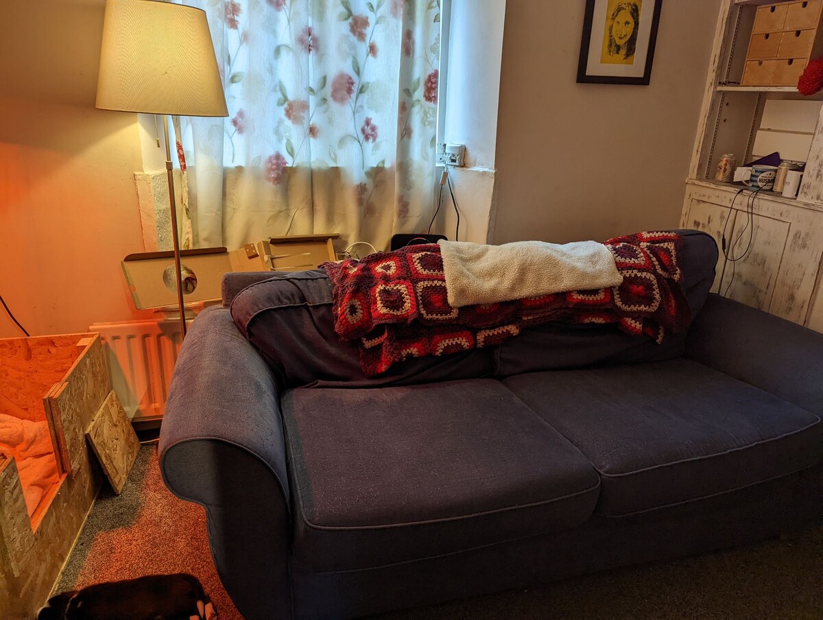 A comfortable blue sofa is positioned in a cozy living area. A warm, knitted blanket is draped across the back. Nearby, a lamp provides soft lighting, and a window is dressed with floral curtains, allowing natural light to filter into the space.