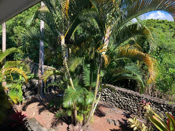 Top 8 LongTerm Rentals In KailuaKona, Hawaii Updated 2024 Trip101