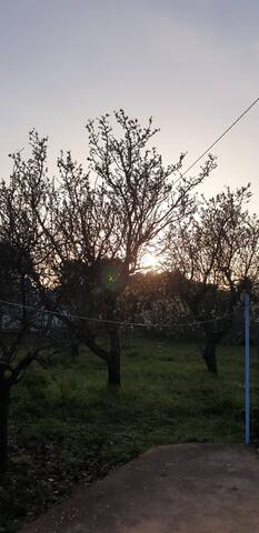 New Villa with swimming-pool,San Vito dei Normanni gallery image 5