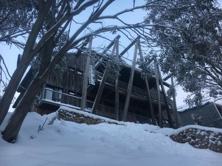 Snowgums & Sunsets - Bike or Ski