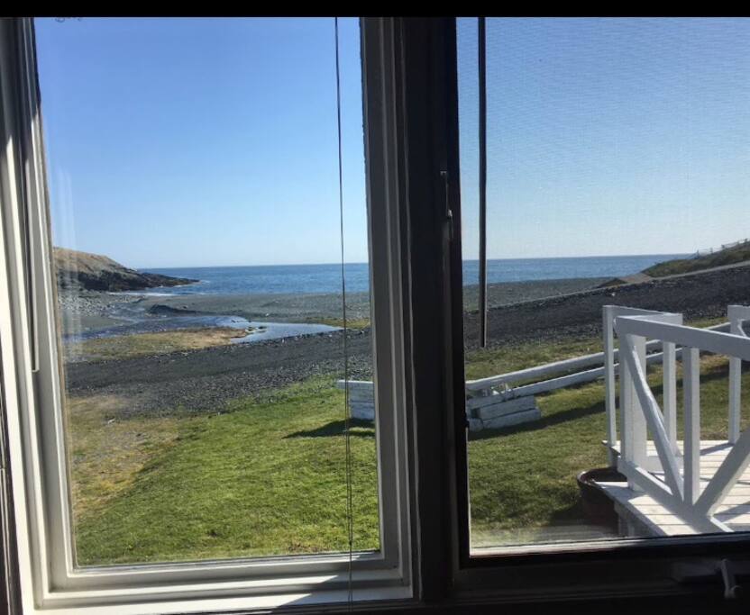 View from your cabin