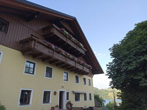 Lake view apartment to feel good!1