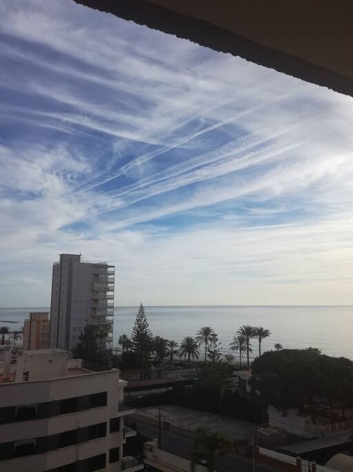 Terraza dia de fumigaciones